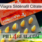 Viagra Sildénafil Citrate new01